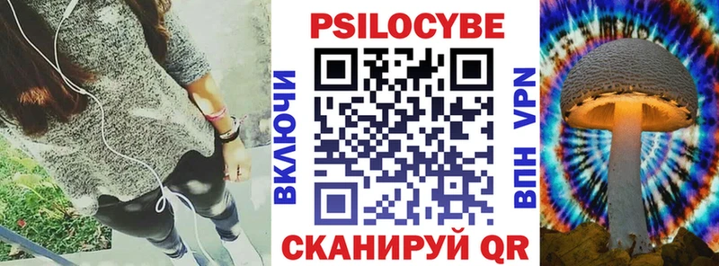 ОМГ ОМГ ТОР  купить наркотик  Калтан  Псилоцибиновые грибы Psilocybine cubensis 